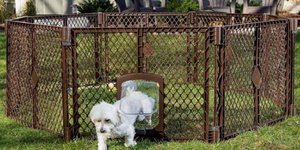 temporary dog fence